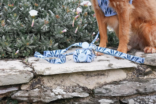 Wyld Cub - Dog Lead: Kew Celeste | Luxury Home Accessories | Heulog Glow