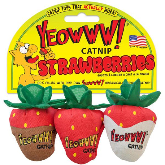 Yeowww! Strawberries | Luxury Home Accessories | Heulog Glow