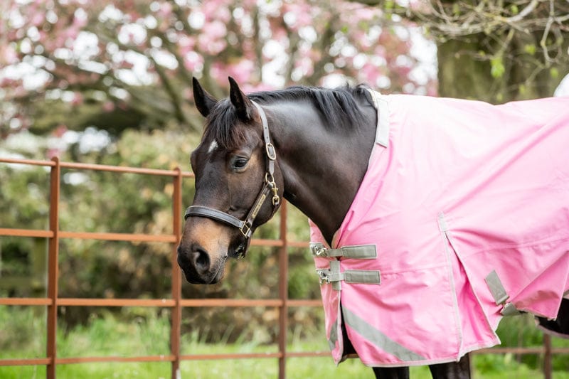 0g Detachable Neck Turnout Rug - Baby Pink | Luxury Home Accessories | Heulog Glow