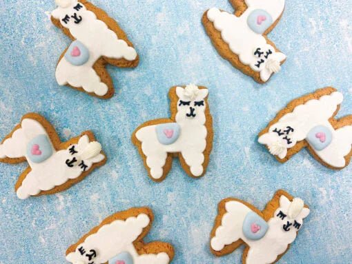 10 Pack – Llama Party - Original Biscuit Bakers | Luxury Home Accessories | Heulog Glow