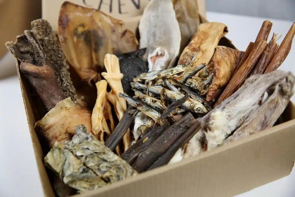 100 Piece XL Treat Box | 100% Natural Dog Treats | Luxury Home Accessories | Heulog Glow