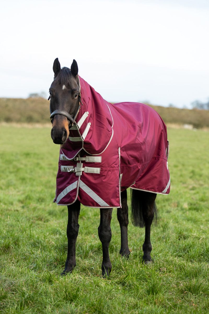 100g Detachable Neck Turnout Rug - Burgundy | Luxury Home Accessories | Heulog Glow