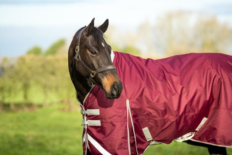 100g Detachable Neck Turnout Rug - Burgundy | Luxury Home Accessories | Heulog Glow