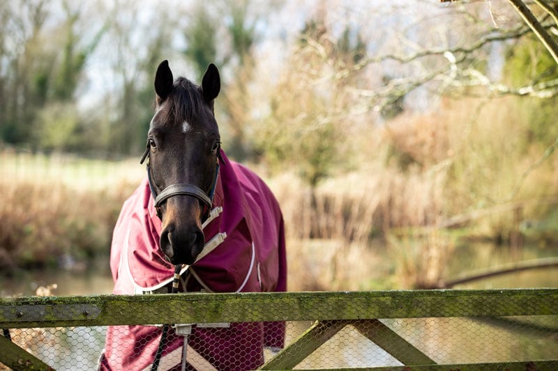 100g Detachable Neck Turnout Rug - Burgundy | Luxury Home Accessories | Heulog Glow
