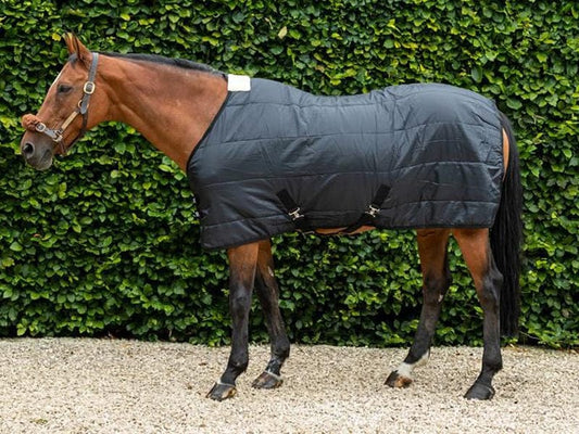 100g Horse Under Rug With Surcingles | Luxury Home Accessories | Heulog Glow