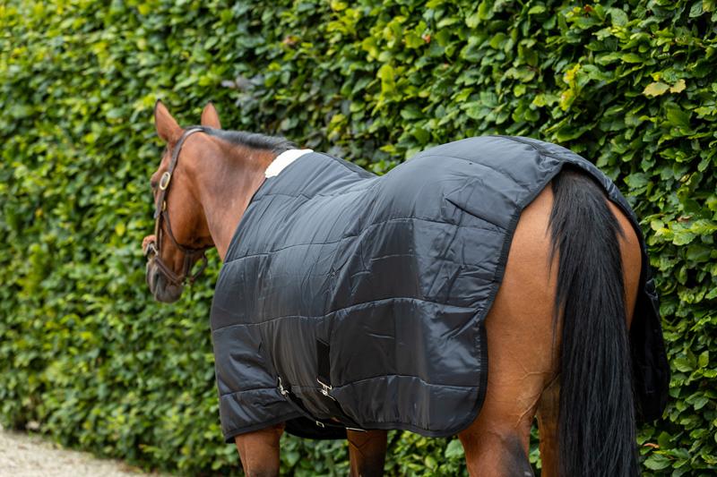 100g Horse Under Rug With Surcingles | Luxury Home Accessories | Heulog Glow