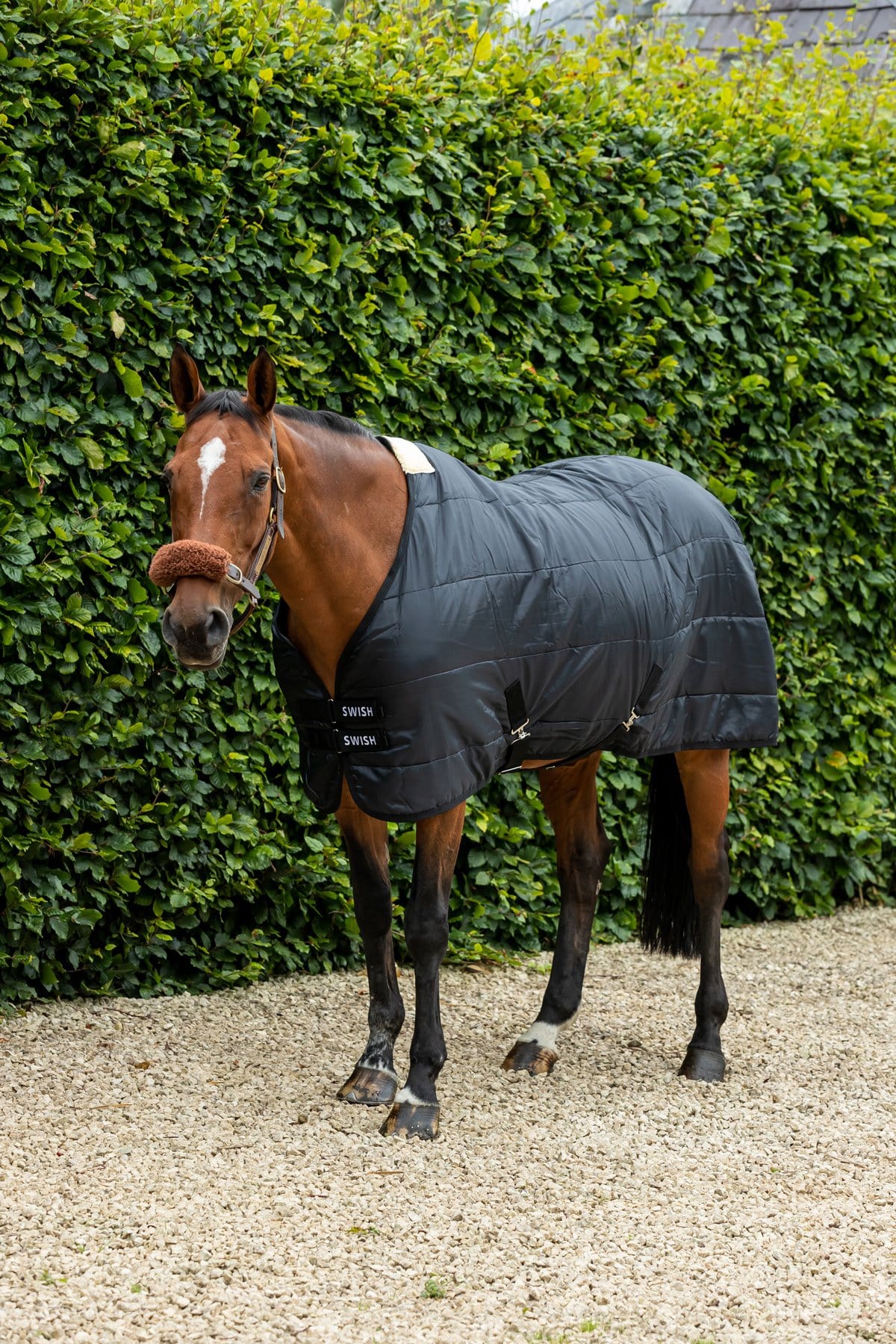 100g Horse Under Rug With Surcingles | Luxury Home Accessories | Heulog Glow