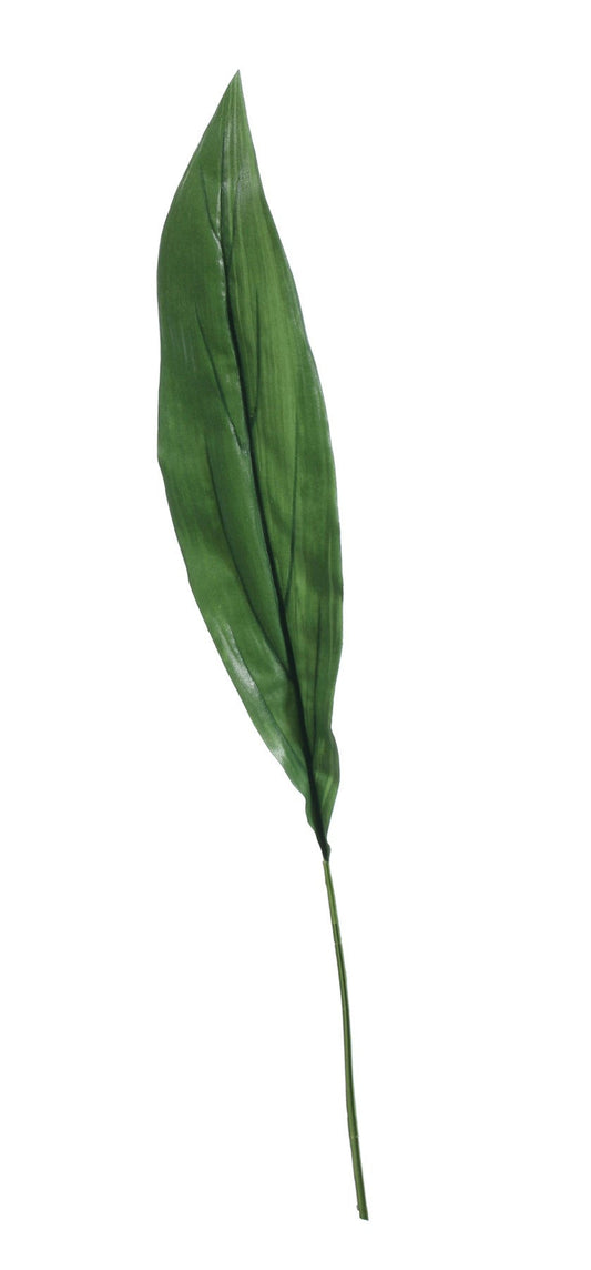 Extra Large Aspidistra Leaf Green (81cm)