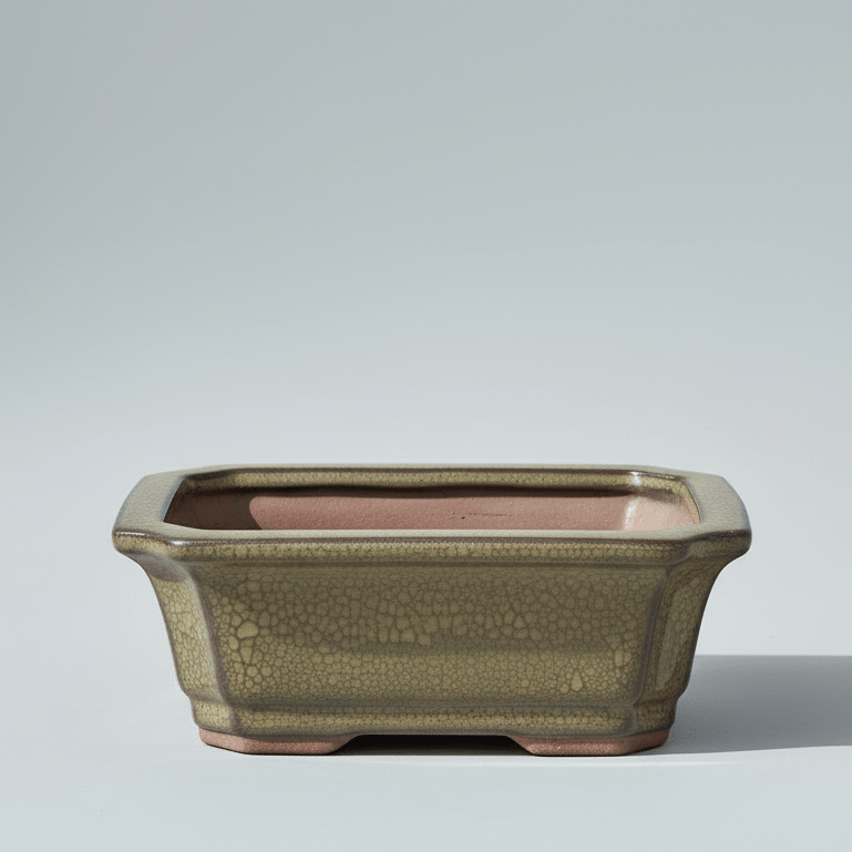 12cm Glazed Bonsai Pot | Rectangle | 12cm x 10cm x 4cm | Green | Luxury Home Accessories | Heulog Glow
