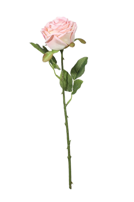 Pink Fantasia Rose (51cm)