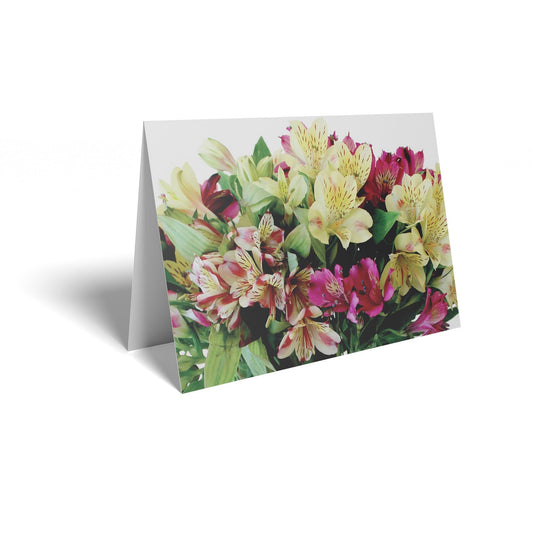 Mixed Colour Alstromera Folded Card with Care Info (pack of 25)