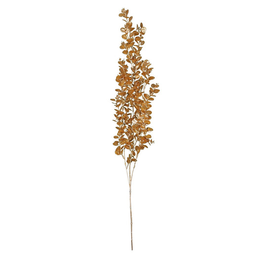 Gold Hanging Eucalyptus