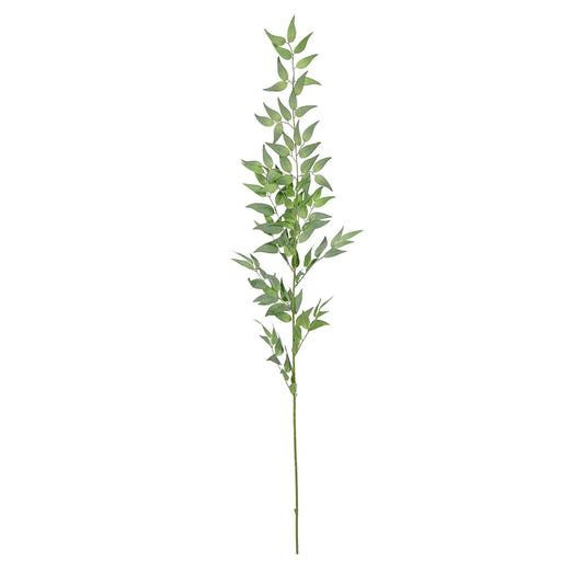 Green Botanica Ruscus Spray (121cm)
