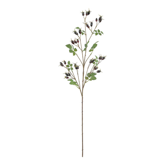 Dark Purple Rose Hip Spray (95cm)