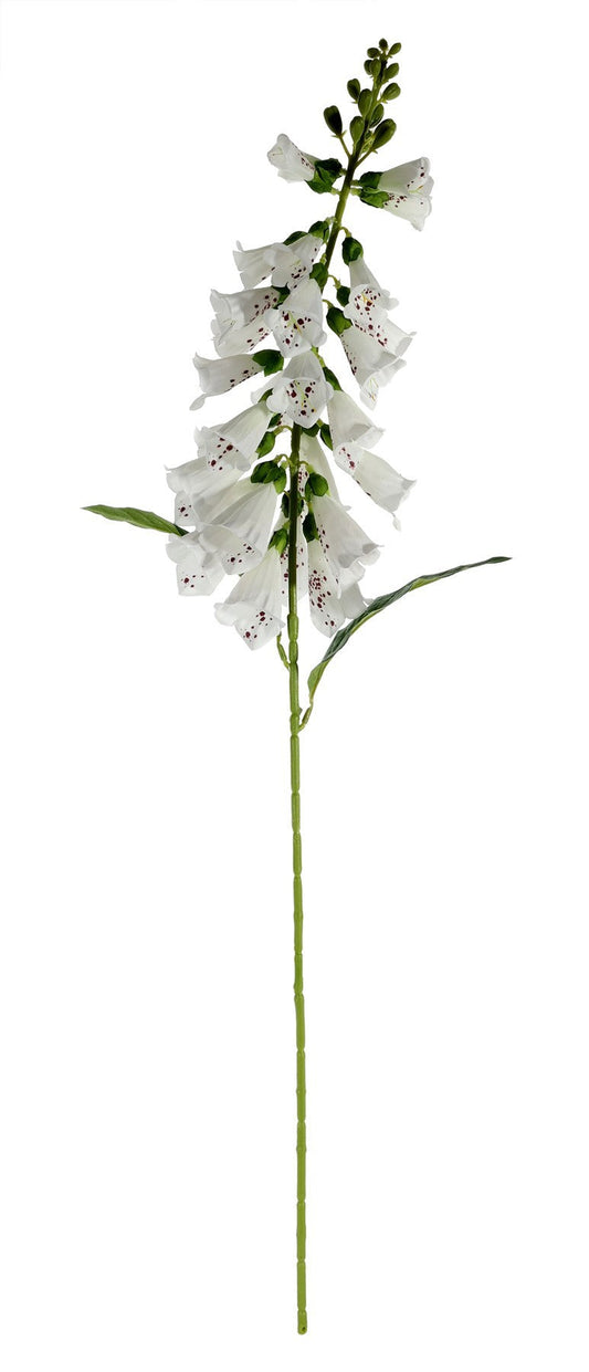 Essential White Foxglove