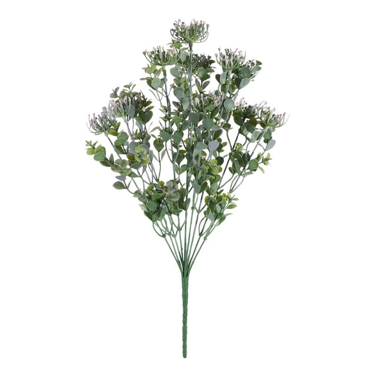 Essential Lilac Sedum Bush