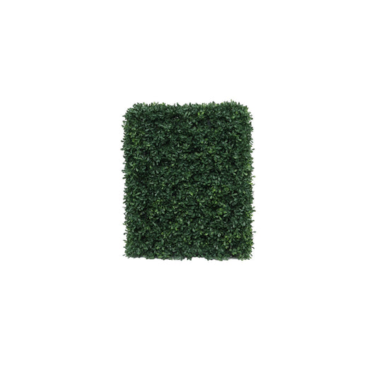 UV Botanica Hedge (37 x 48cm)