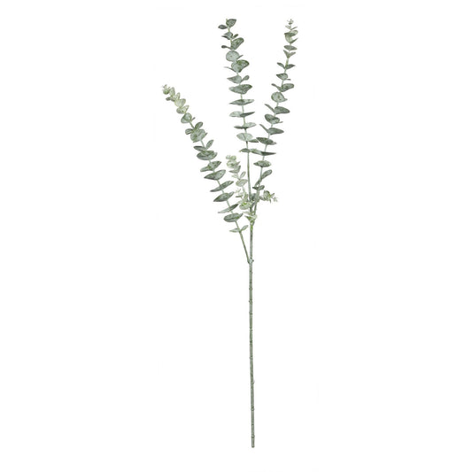 Essential Grey Eucalyptus Spray