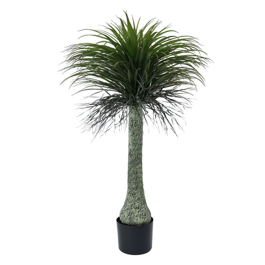 Botanica Yucca Tree in Pot (135cm)