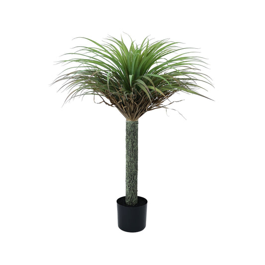Botanica Yucca Tree in Pot (105cm)