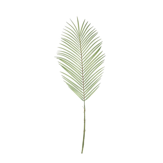 Botanica Areca Palm Frond (74cm)