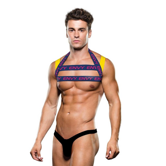 ENVY LOGO HARNESS BLUE YELLOW SM