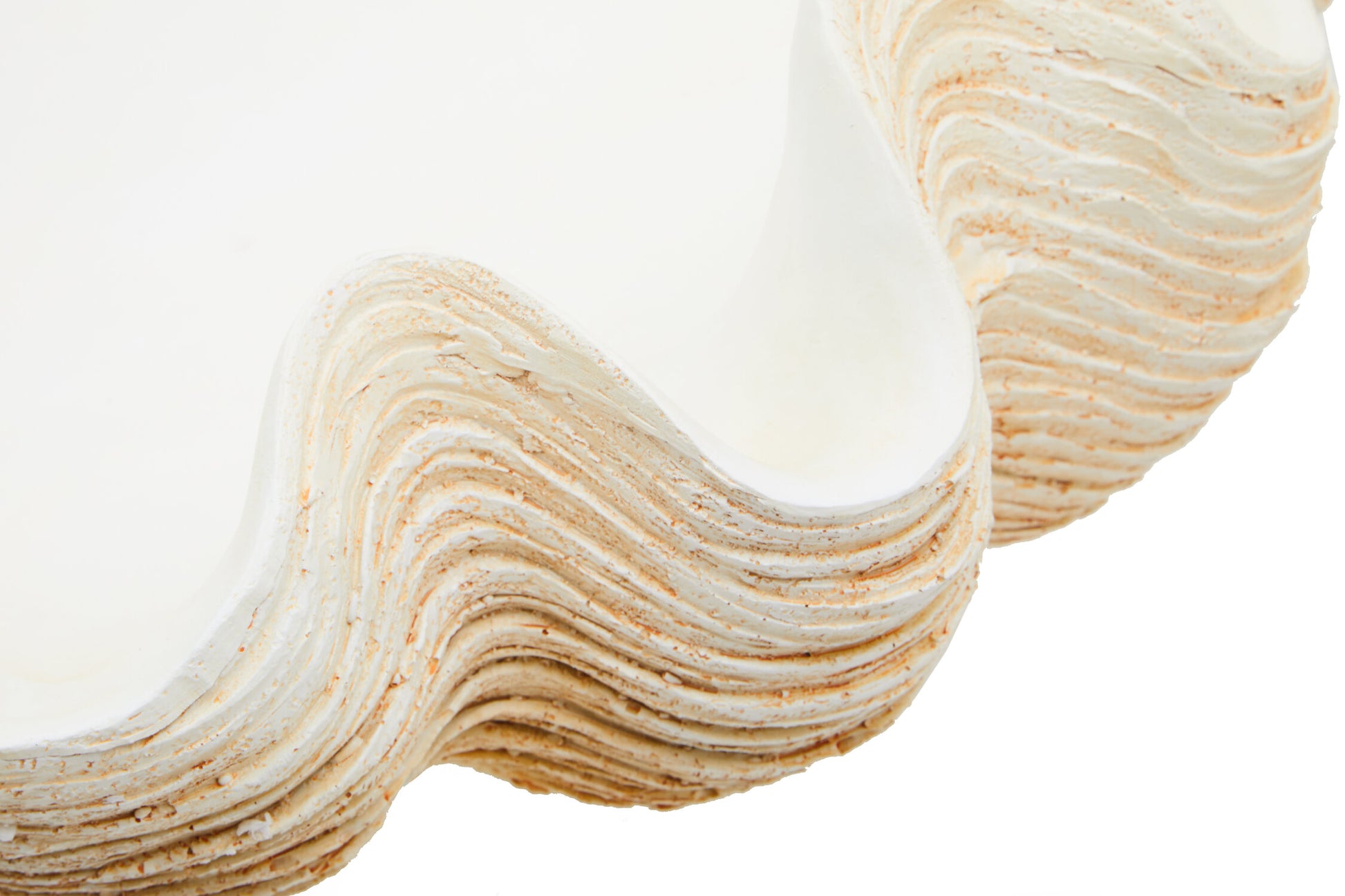 Byron Large Clam Shell Bowl