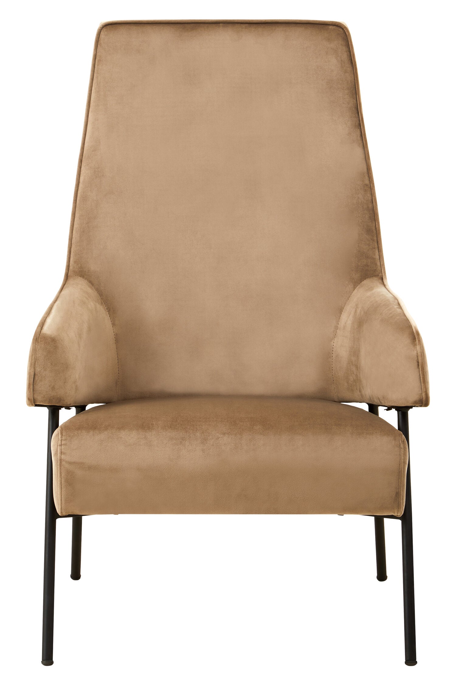 Henia Mink Velvet Chair