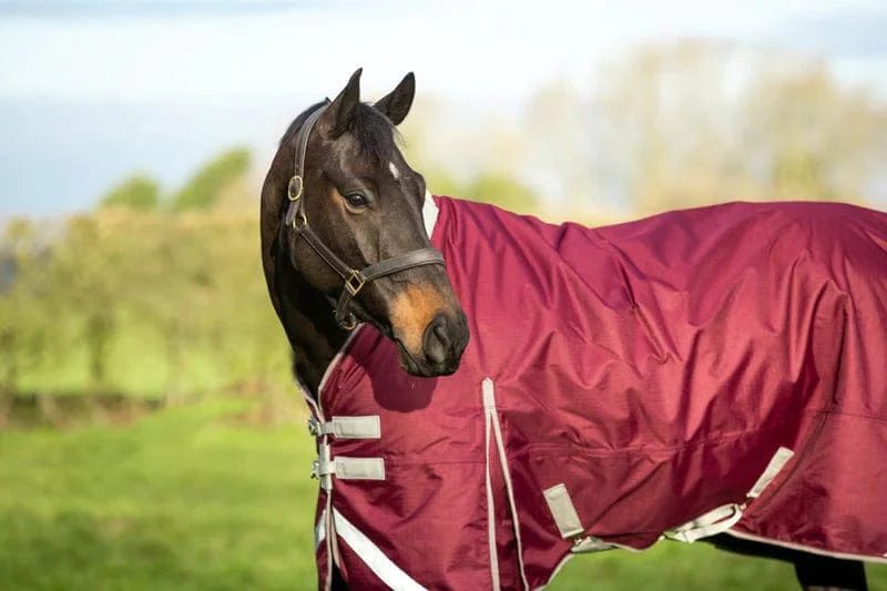 200G Detachable Neck Turnout Rug - Burgundy | Luxury Home Accessories | Heulog Glow