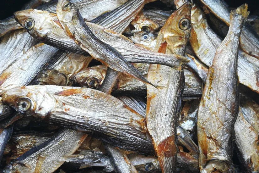 200g Dog Shack Sprats | Luxury Home Accessories | Heulog Glow