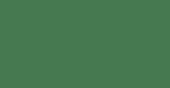 Holiday Green Euro-Aerosols spray paint