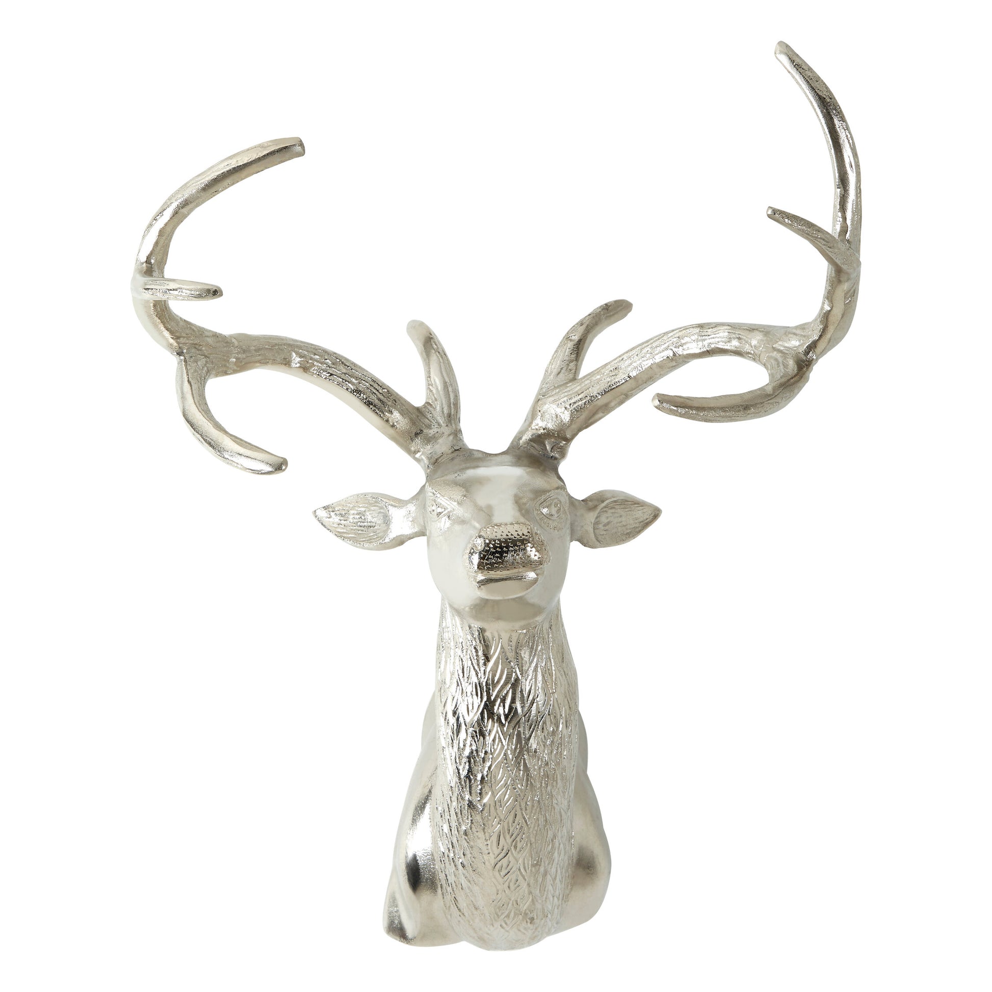 Wall Mounted Stag with Curved Antlers
