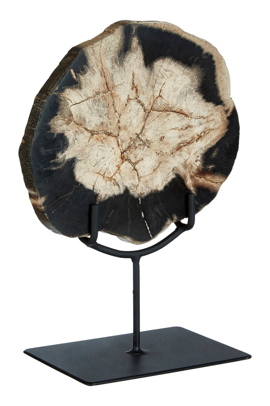 Relic Small Petrified Wood Sculpture