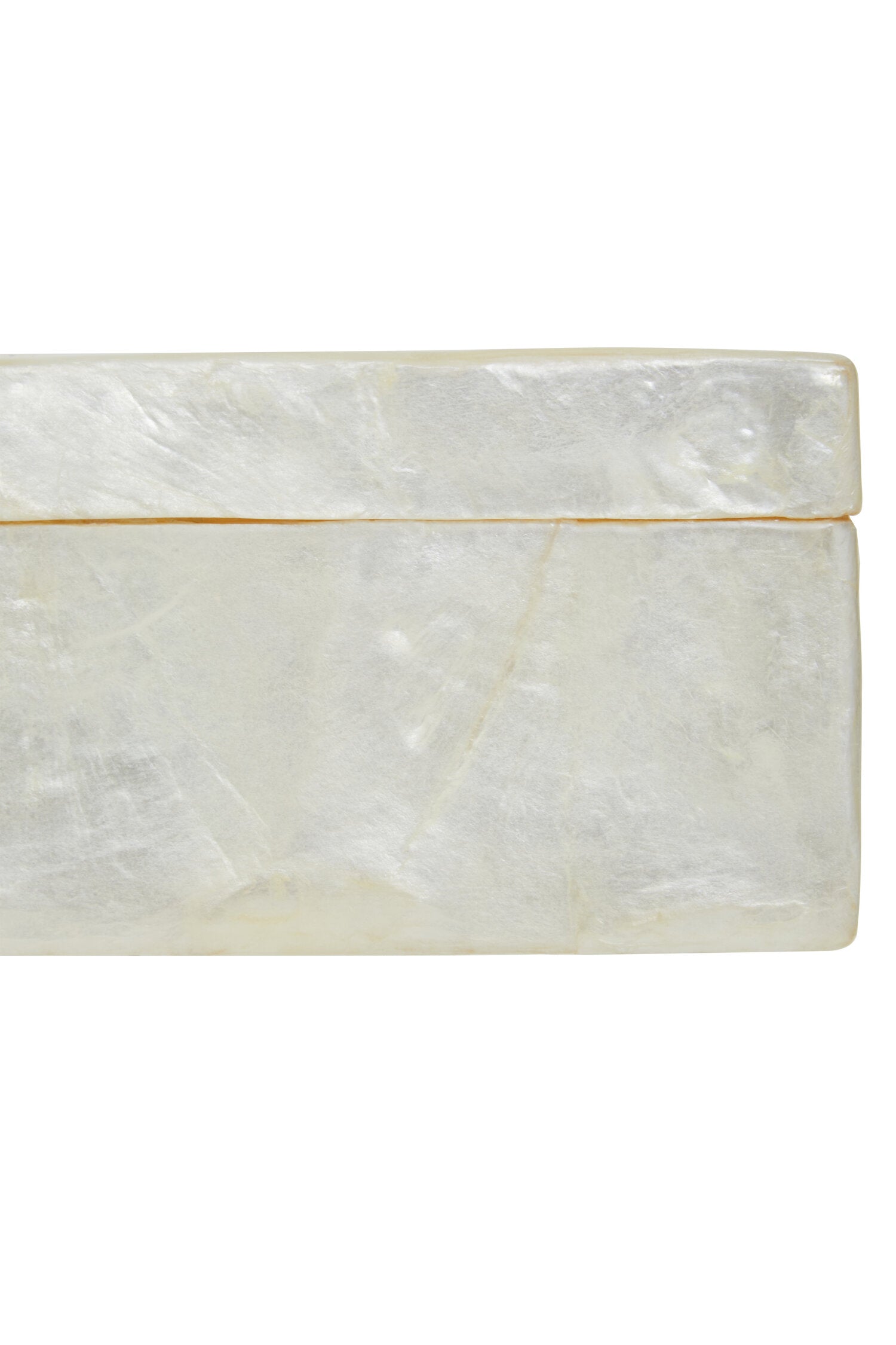 Palu White Sea Shell Tissue Box