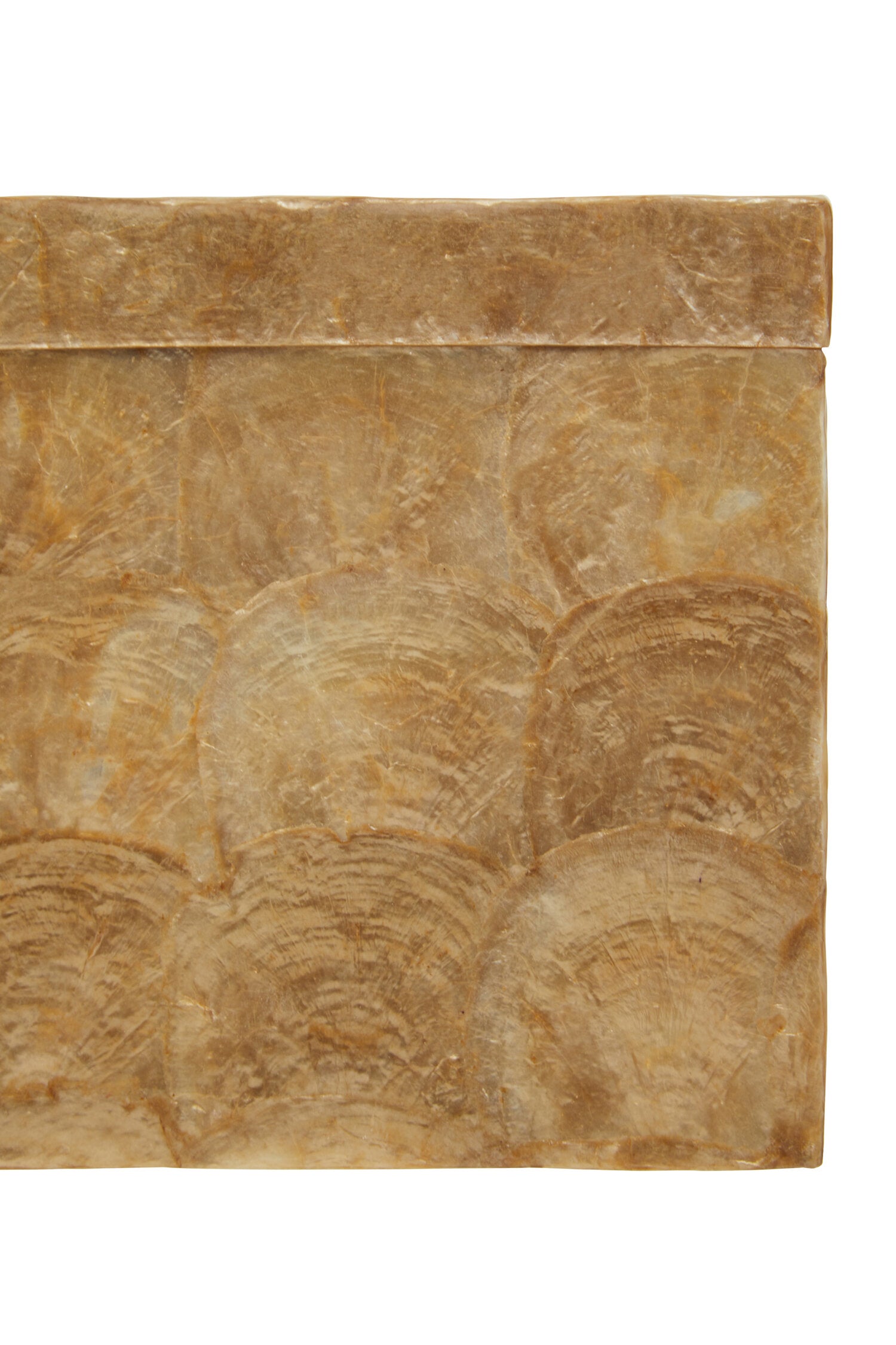 Palu Beige Seashell Square Tissue Box