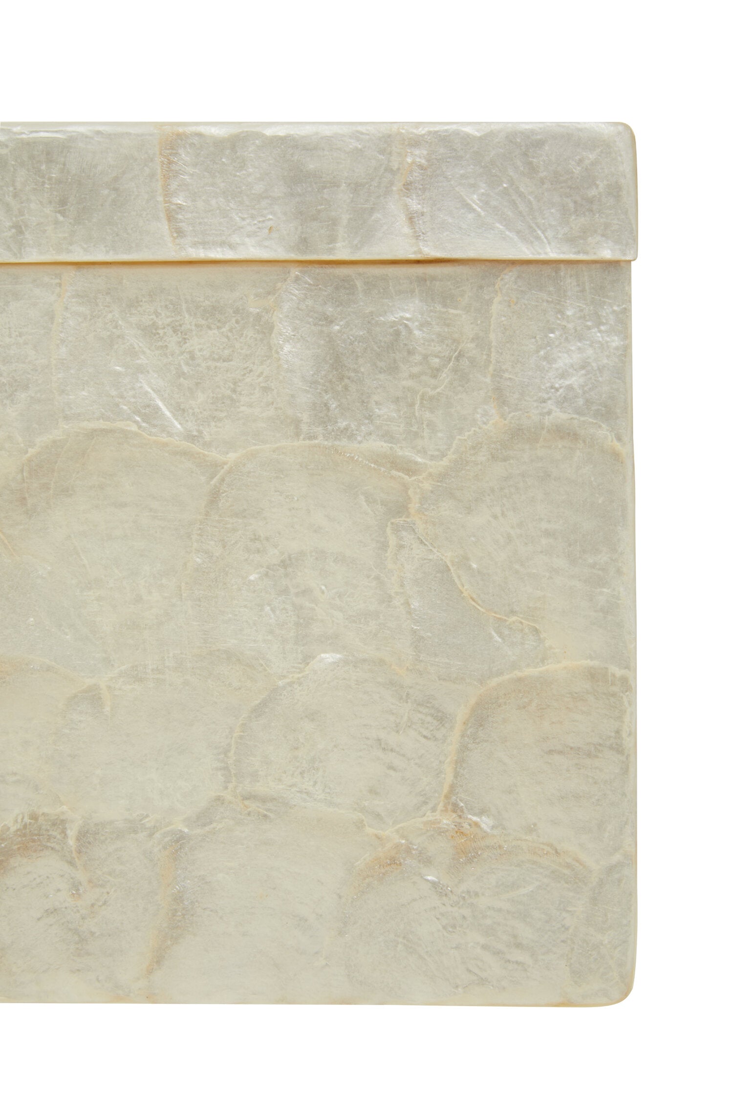 Palu White Shell Square Tissue Box