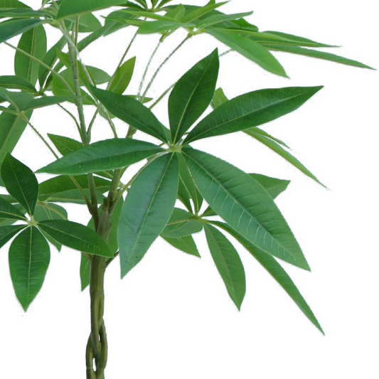 70cm Artificial Money Tree Pachira Realistic Faux Plant