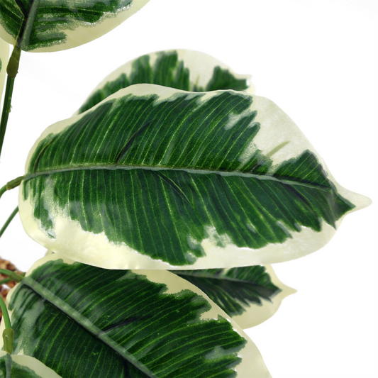 Artificial Plant Pothos Variagated Planter