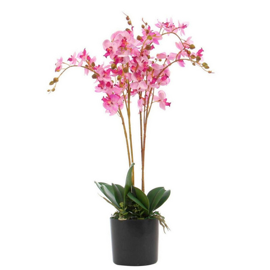 Artificial Orchid Flower Display in Pot 60cm Pink