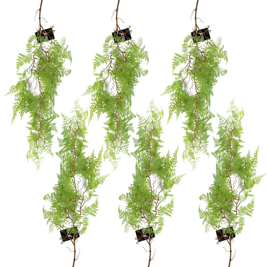 Leaf Artificial Hanging Fern Pack x 6