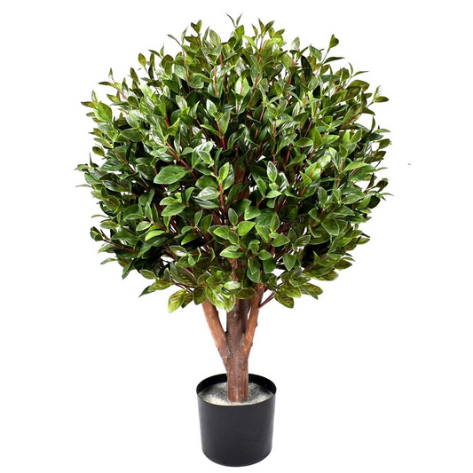 UV Resistant Gloxinia Single Topiary 1608 Leaves Trunk