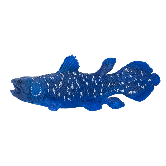 Coelacanth Toy Realistic Prehistoric Fish Model