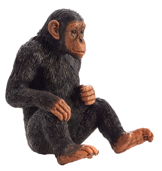 Chimpanzee Toy Realistic Wildlife Animal Model