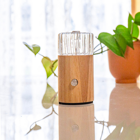 NOVA Ezy Eco-Friendly Waterless Diffuser | Portable Option Available | No Plastics Pure Essential Oil Diffusing