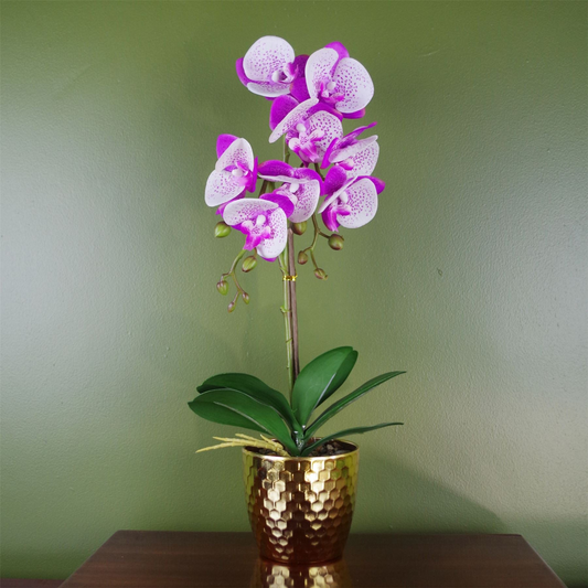 Orchid Artificial Purple White 50cm Gold Pot Phalaenopsis Botanik