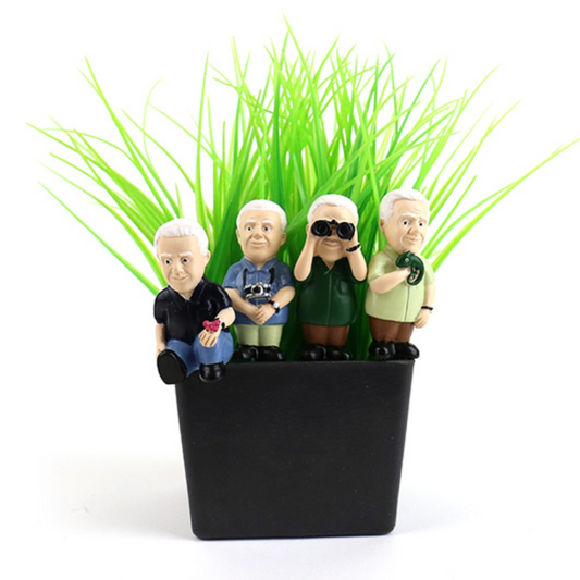 Mini Plant Pot Attenborough Explorers