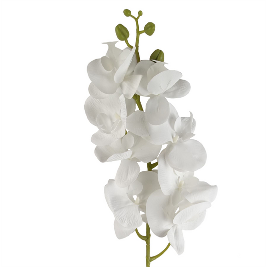 Artificial Flowers Phalaenopsis Orchid White Stem 100cm