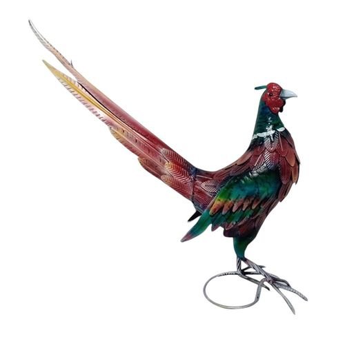 63CM BIRD