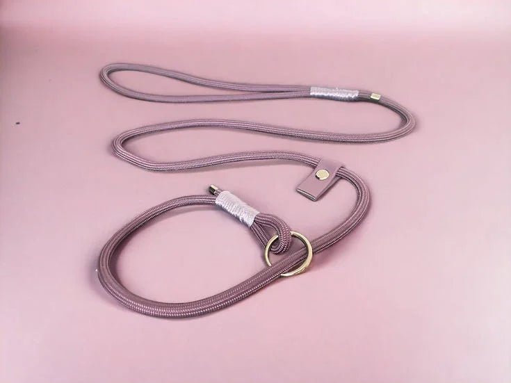 6mm gundog slip lead - Handmade Paracord Dog Lead | Luxury Home Accessories | Heulog Glow