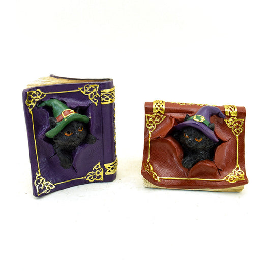 Witches Magical Black Cat Mischievous Spell Book